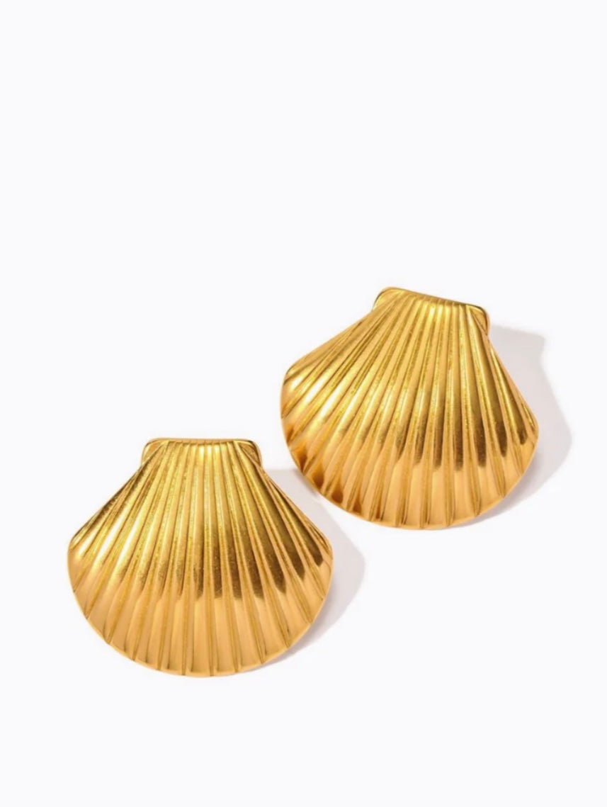 Sea shell earring - GlintHub