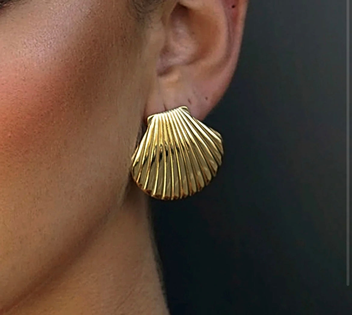 Sea shell earring - GlintHub