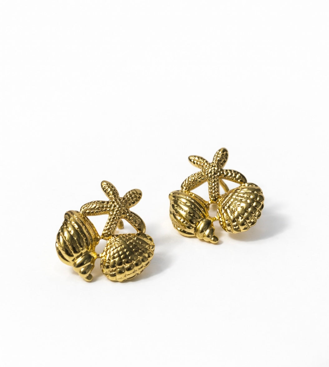 Seashell and star stud - GlintHub